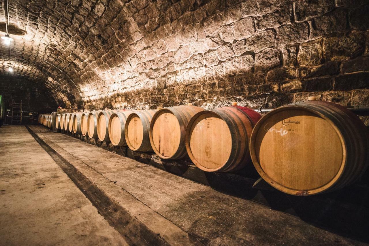 Weingut Gaestehaus D&D Haider Jois Exterior foto